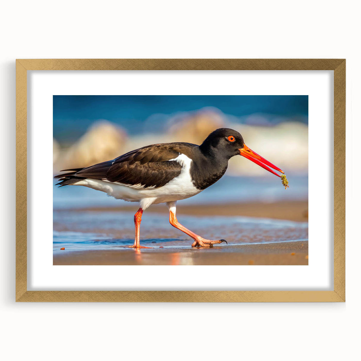 Framed wall art featuring a collection of shorebirds in a gold frame, showcasing intricate details and vibrant colors, perfect for coastal-themed decor.