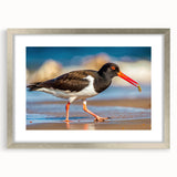 Framed wall art collection featuring intricately designed shorebirds in a silver frame, showcasing vibrant colors and detailed illustrations, ideal for coastal decor.