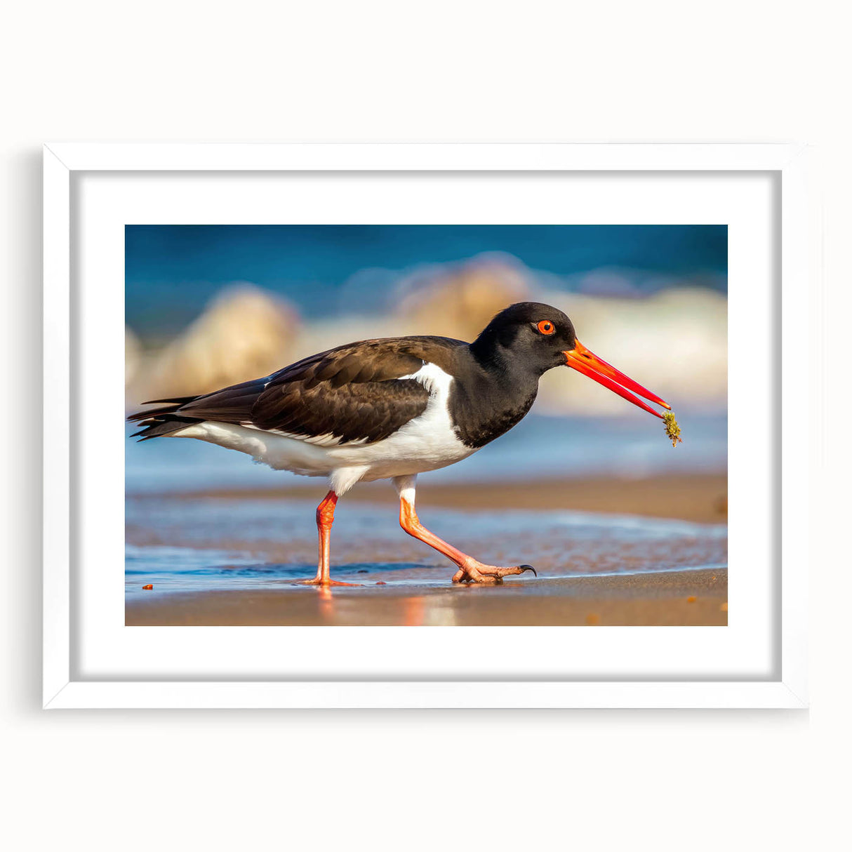 Framed wall art collection showcasing elegant shorebirds in a minimalist design with a white mat, perfect for coastal-themed home decor or bird enthusiasts.