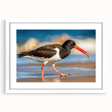 Framed wall art collection showcasing elegant shorebirds in a minimalist design with a white mat, perfect for coastal-themed home decor or bird enthusiasts.