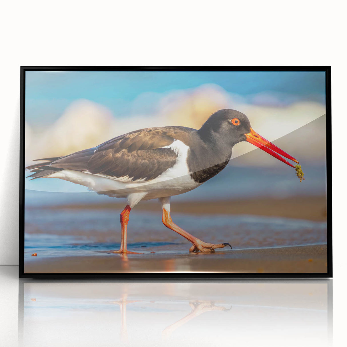 Framed wall art featuring a collection of shorebirds in an elegant design with a black frame, ideal for coastal-themed decor and nature lovers.