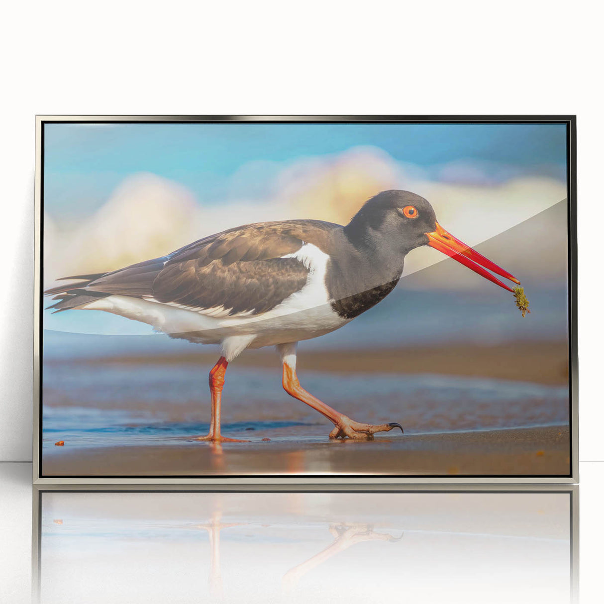 Framed wall art collection showcasing elegant shorebirds design against a silver background, perfect for coastal-themed decor, adding a touch of nature to any room.