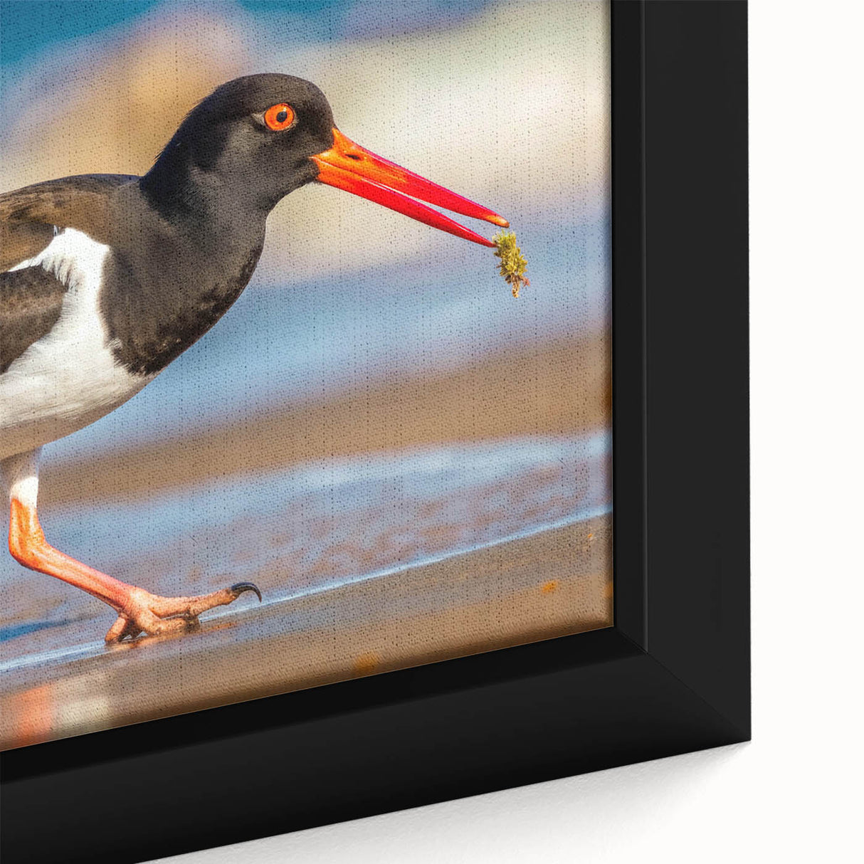 Close-up of a framed canvas wall art collection showcasing vibrant shorebird designs in a coastal setting, highlighting intricate details and rich colors. Perfect for beach-themed decor.