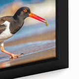 Close-up of a framed canvas wall art collection showcasing vibrant shorebird designs in a coastal setting, highlighting intricate details and rich colors. Perfect for beach-themed decor.