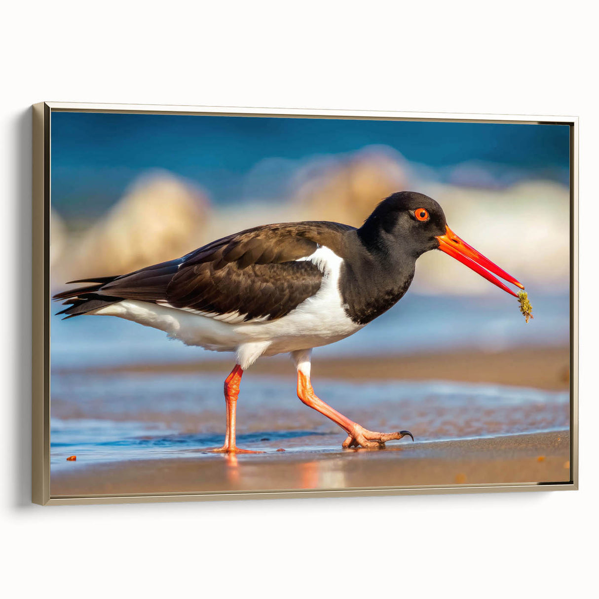 Framed wall art collection featuring elegant shore birds in gold tones, showcasing a side view of the canvas design, perfect for coastal-themed decor.
