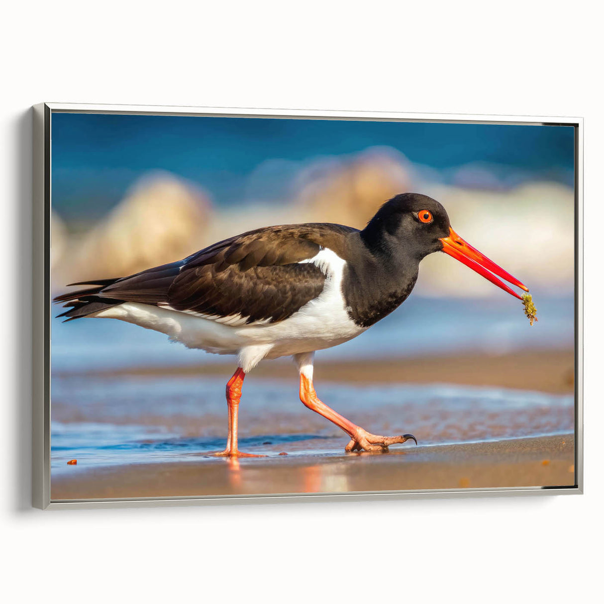 Framed canvas wall art collection showcasing a serene shorebird design in soft colors, displayed in a silver frame, adding elegance to any coastal-themed decor.