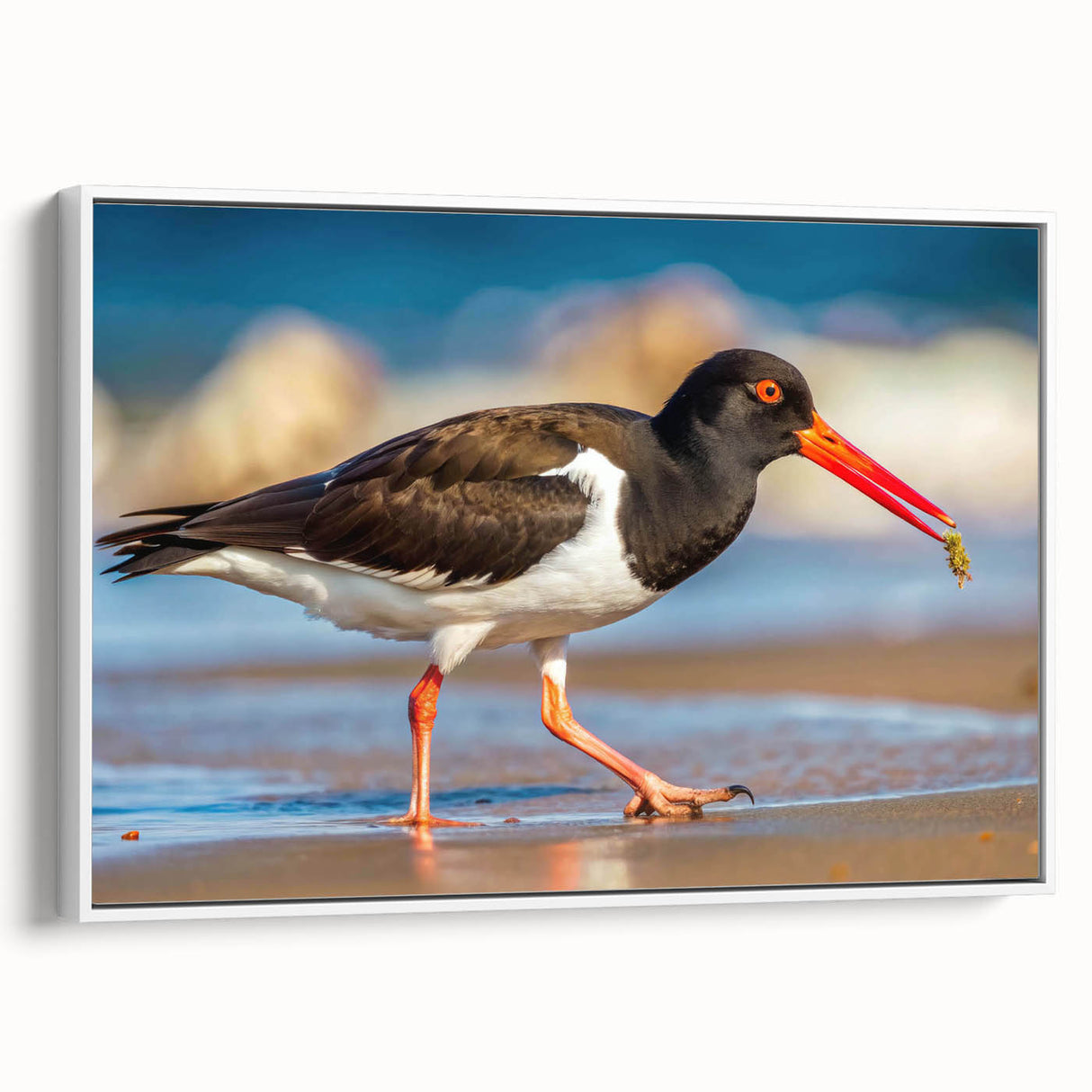 Framed canvas wall art collection showcasing three elegant shorebird designs, featuring soft colors and intricate details, perfect for coastal home decor.