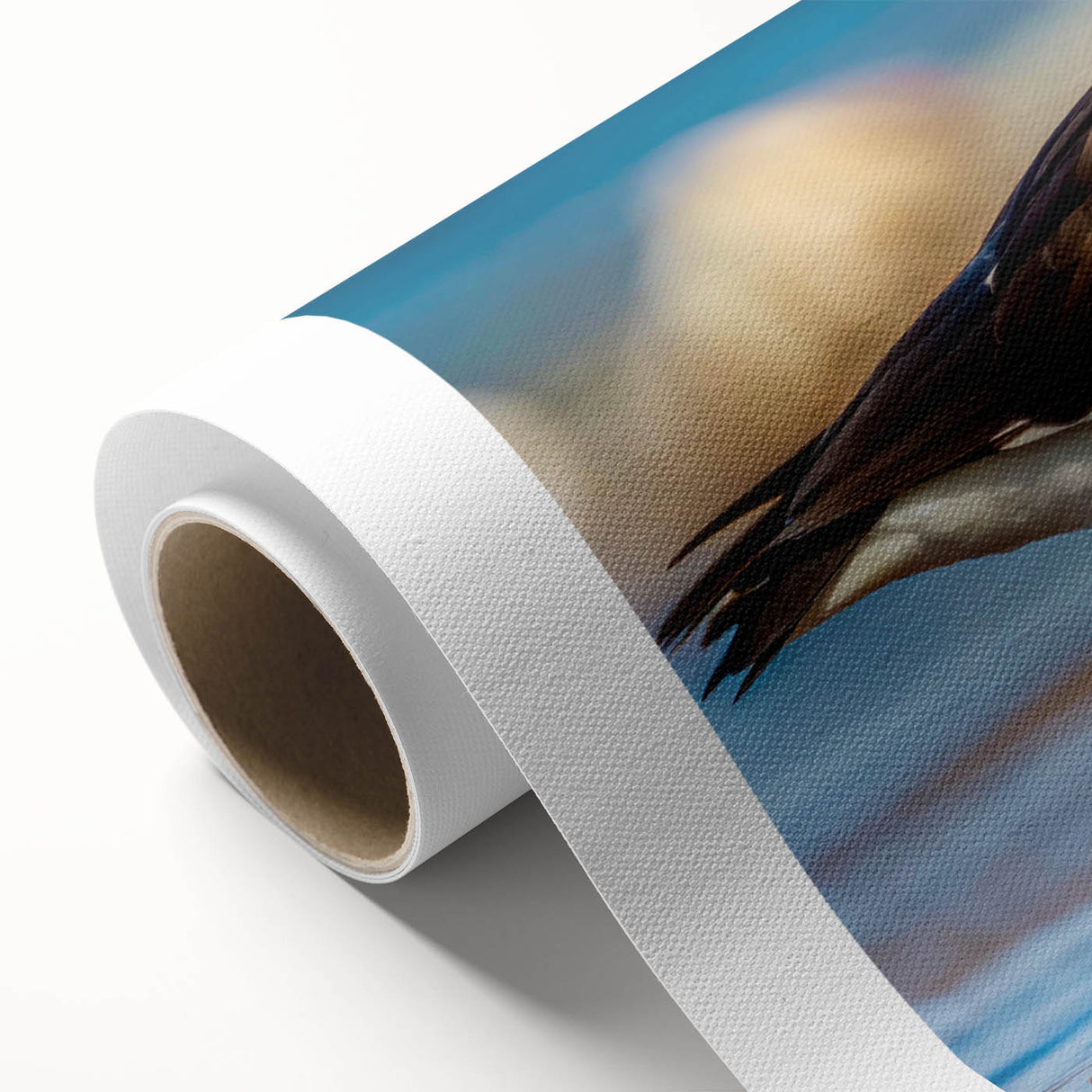 Colorful rolled canvas artwork showcasing a vibrant shorebird design, featuring intricate details and textures, ideal for coastal-themed home decor.