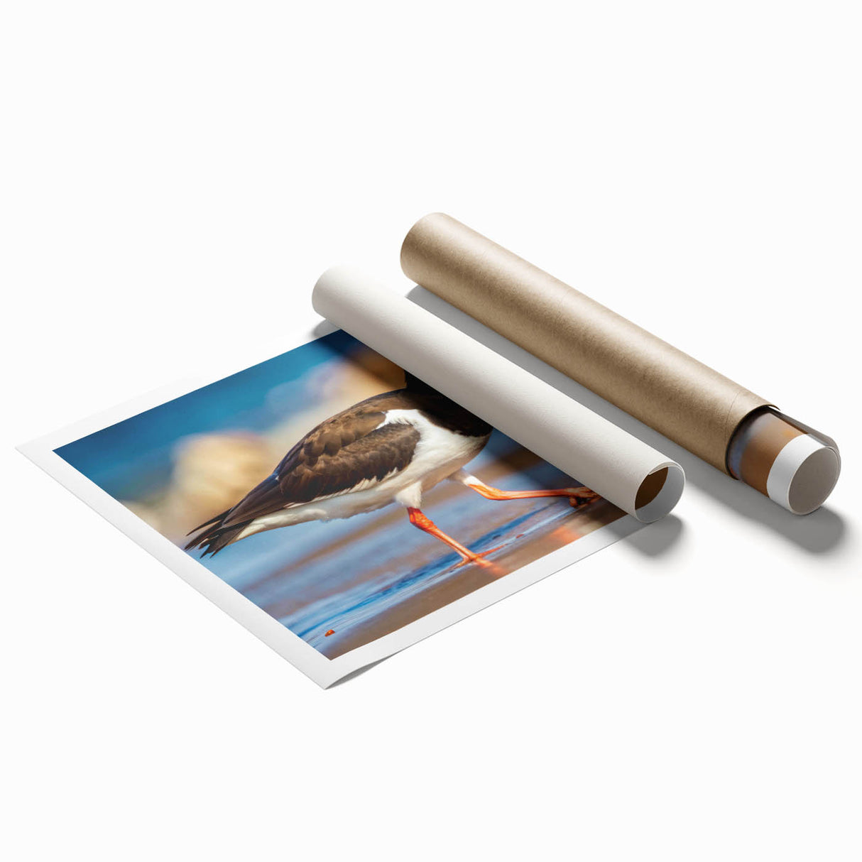 Colorful rolled wall art print showcasing a design of shorebirds in a natural coastal setting, perfect for enhancing beach-themed decor. Textured finish adds depth to the vibrant design, ideal for bird lovers and home decor enthusiasts.