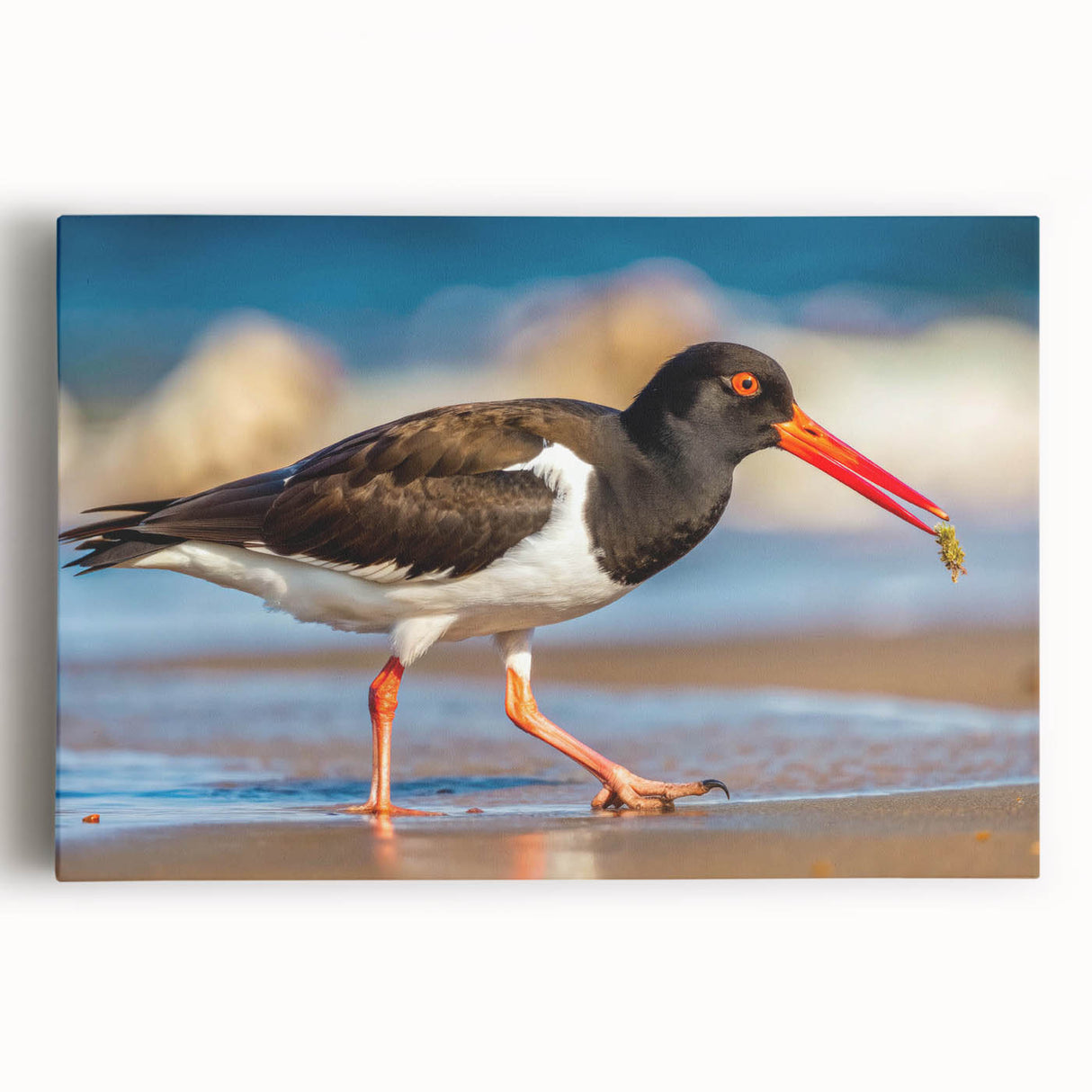 Stretched canvas artwork depicting a serene beach scene with various shorebirds in vibrant colors, perfect for coastal home decor, showcasing intricate details and textures.