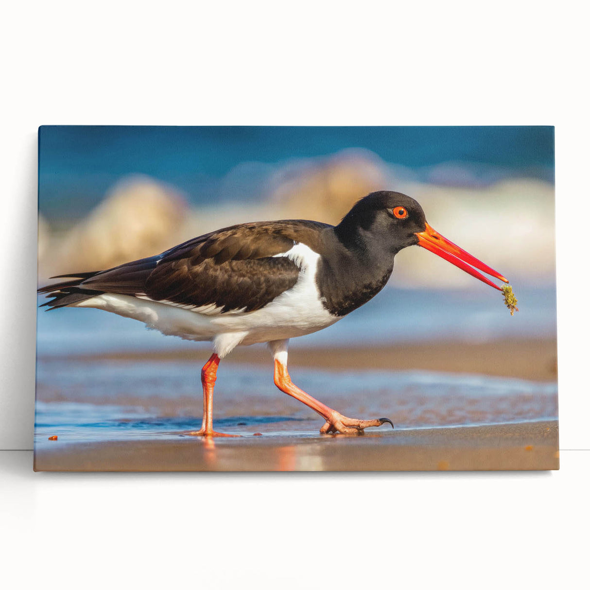 Stretched canvas art featuring a collection of vibrant shorebird designs in various colors, elegantly leaning against a neutral wall, enhancing coastal decor.