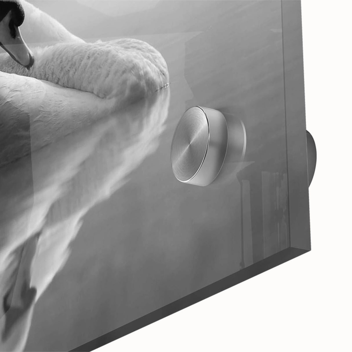 Close-up of a stunning acrylic glass wall art piece featuring a serene swan design, showcasing vibrant colors and intricate details, perfect for elegant home decor.