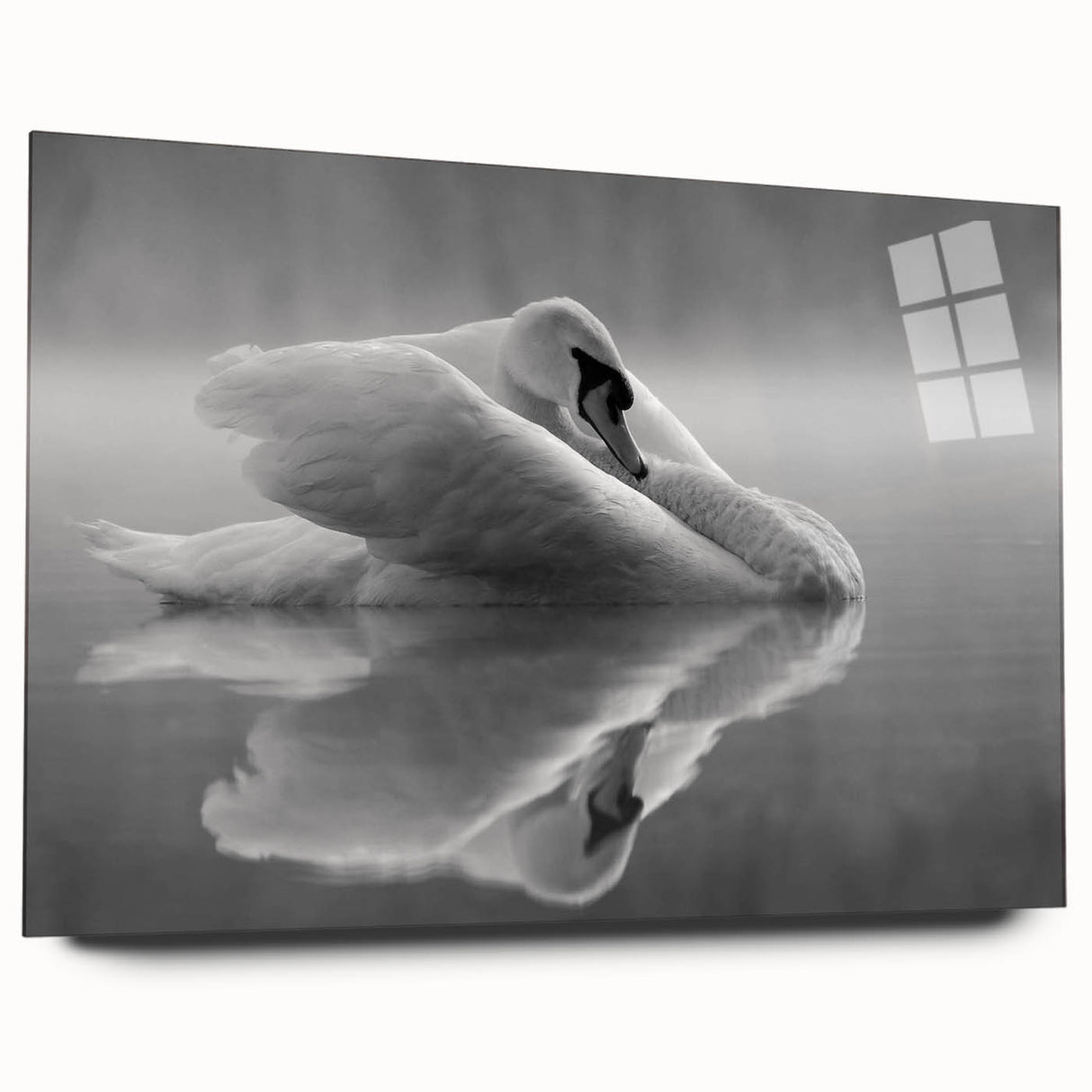 Elegant swan wall art design displayed in a sleek acrylic glass frame, showcasing intricate details and a modern aesthetic, perfect for home decor.