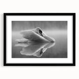Elegant black-framed wall art featuring a serene swan design, highlighted against a crisp white mat, ideal for modern home decor and art enthusiasts.