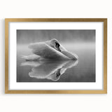 Elegant wall art featuring a swan design in gold frame, with a white mat, showcasing a serene aquatic scene, perfect for home décor enhancement.