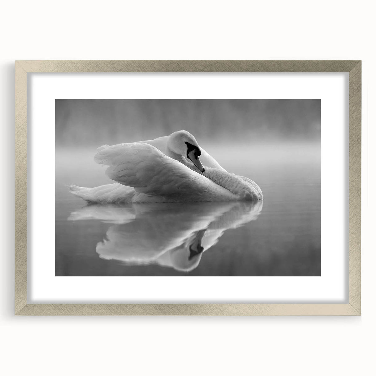 Framed wall art featuring elegant swan design in soft colors, set in a stylish silver frame with a mat, perfect for home decor and adding a touch of sophistication.