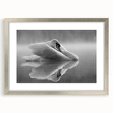 Framed wall art featuring elegant swan design in soft colors, set in a stylish silver frame with a mat, perfect for home decor and adding a touch of sophistication.