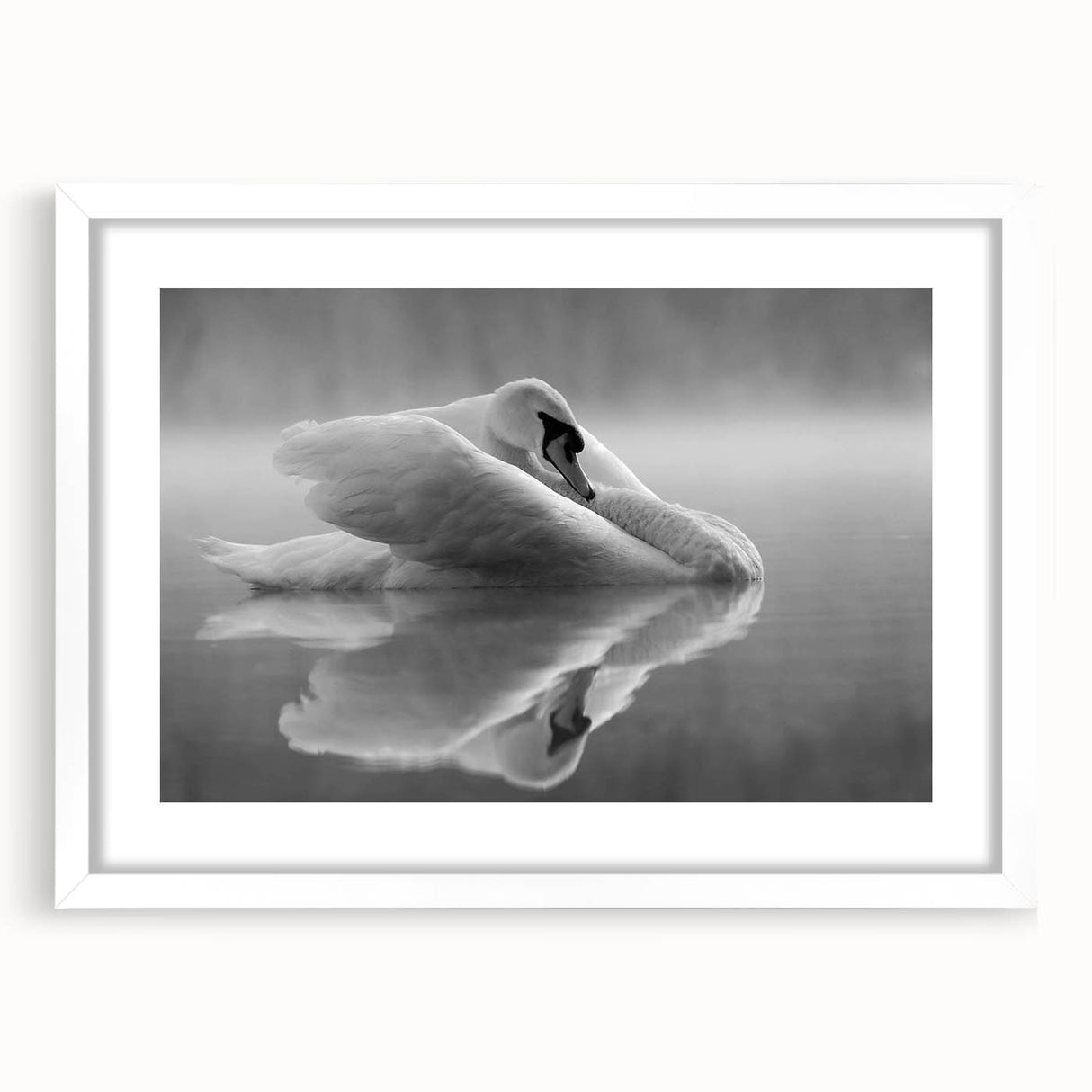 Elegant wall art featuring a swan design in a white frame with a mat, showcasing a serene and artistic representation of nature, perfect for home decor.