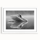 Elegant wall art featuring a swan design in a white frame with a mat, showcasing a serene and artistic representation of nature, perfect for home decor.