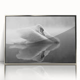Framed wall art featuring a sleek silver-acrylic design of elegant swans, showcasing intricate details and vibrant colors, perfect for enhancing modern decor.