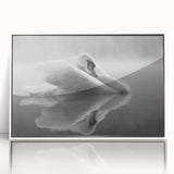 Framed wall art featuring a serene swan design in a minimalist style, showcasing a white frame and acrylic finish, perfect for modern home decor.