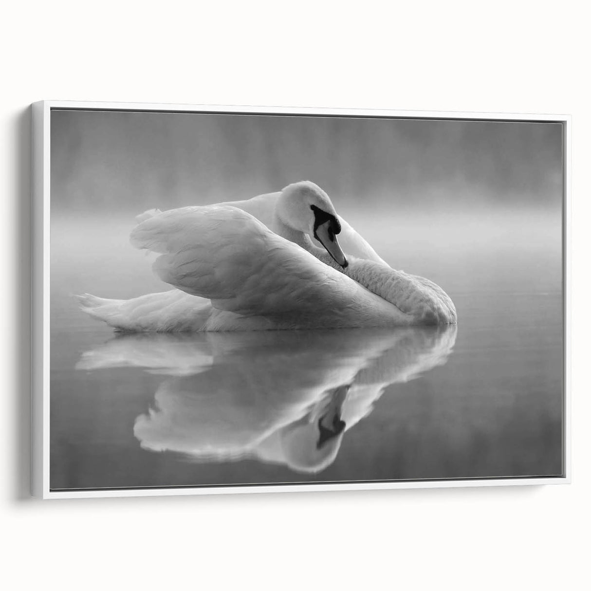 Framed canvas wall art showcasing a graceful swan design in white, perfect for modern home decor, set against a minimalistic background for an elegant touch.