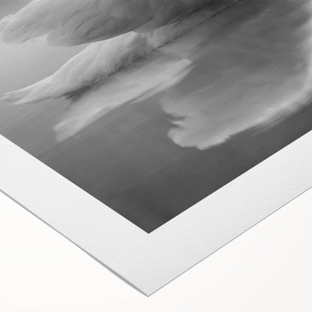 Elegant rolled canvas artwork showcasing a graceful swan design against a serene background, perfect for enhancing home decor with nature-inspired aesthetics.