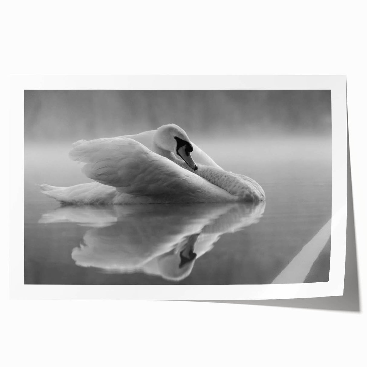 Elegant wall art print showcasing a serene swan design, featuring soft pastel colors and intricate detailing, perfect for enhancing home decor in living spaces or nurseries.