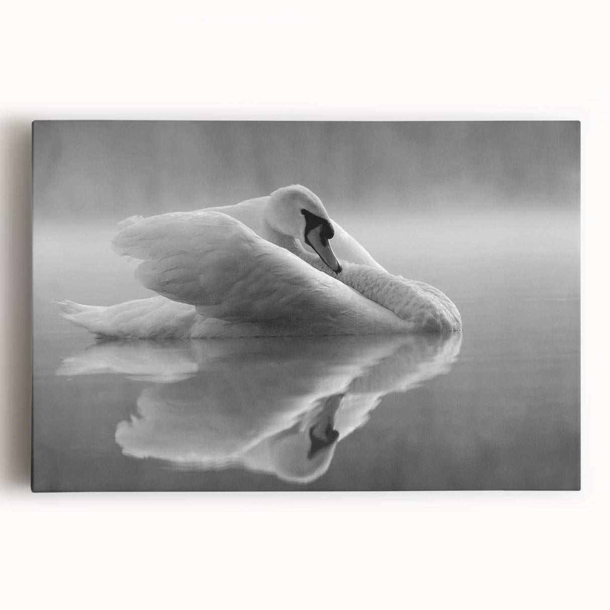 Stretched canvas wall art featuring an elegant swan design in a serene color palette, perfect for home decor, adding a touch of tranquility to any space.