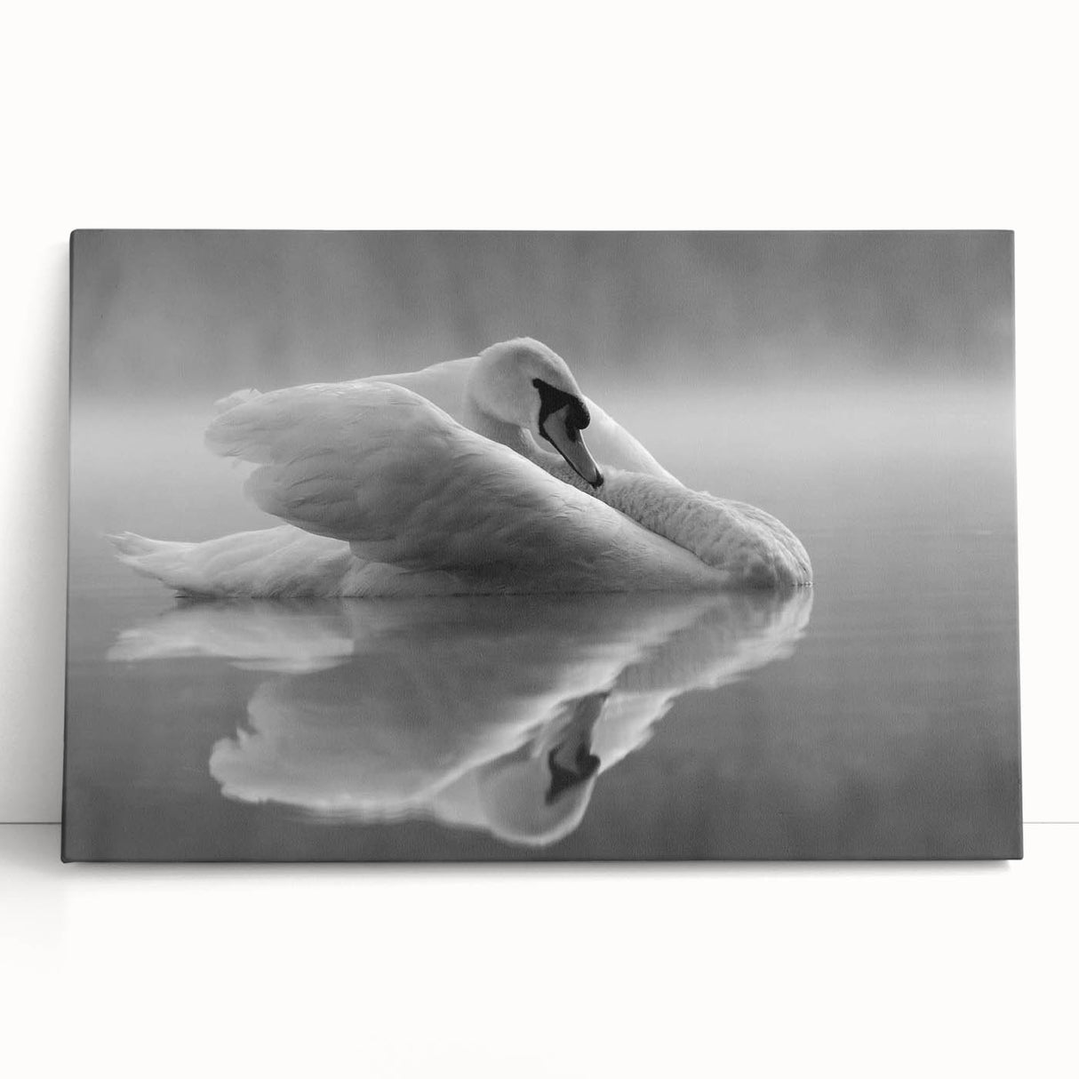 Swan wall art design on stretched canvas, showcasing elegant swans in a serene lake setting, perfect for enhancing modern home decor with a touch of nature.