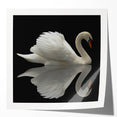 Elegant wall art collection showcasing a glossy print of swans in a serene lake setting, perfect for home decor. Ideal for enhancing living spaces with nature-inspired aesthetics.