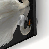 Close-up of a stunning wall art collection featuring graceful swans in an elegant design, printed on acrylic glass with vibrant colors, perfect for contemporary decor.