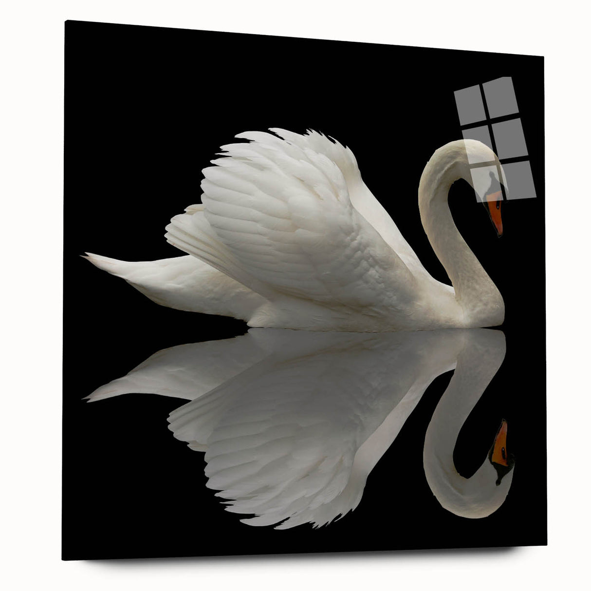 Elegant wall art collection featuring a side view of a swan design printed on acrylic glass, showcasing vibrant colors and intricate details, perfect for modern decor.