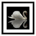 Elegant black-framed wall art showcasing a serene swan design, perfect for enhancing home decor. Ideal for nature lovers and art enthusiasts, this piece adds sophistication to any room.