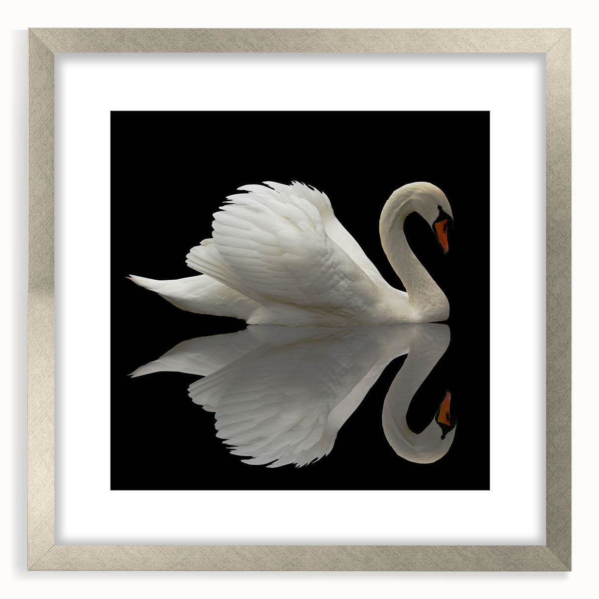 Elegant silver-framed wall art featuring a serene swan design, showcasing intricate details and a sophisticated mat, perfect for enhancing home decor.