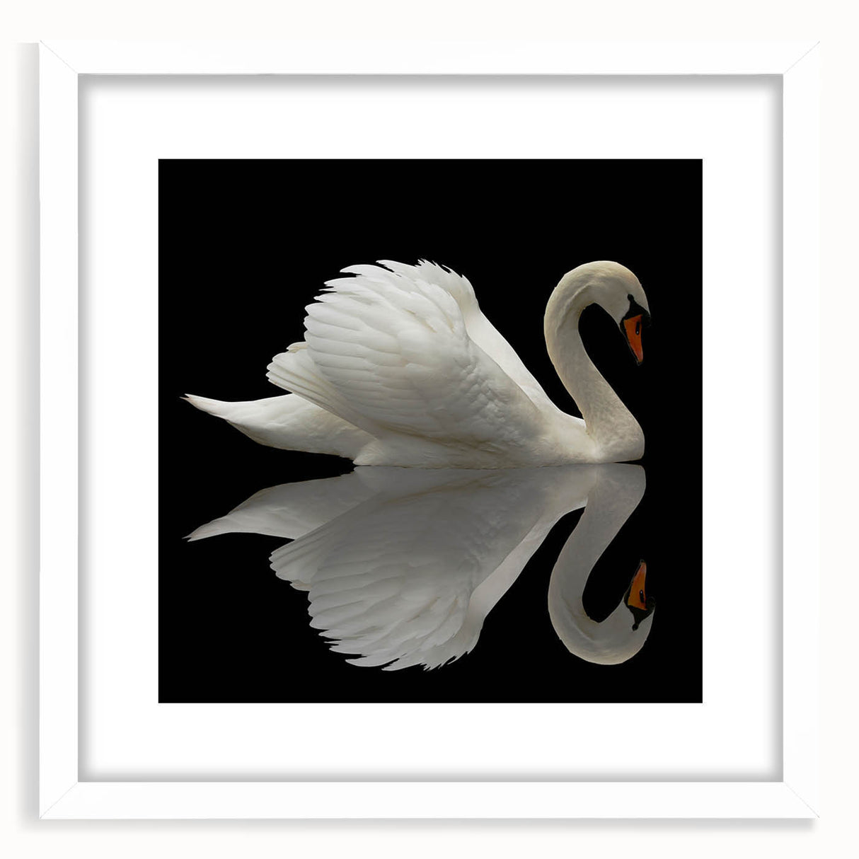 Elegant wall art featuring a white-framed print of swans, showcasing intricate bird designs with a matted finish, perfect for home decor and enhancing interior aesthetics.