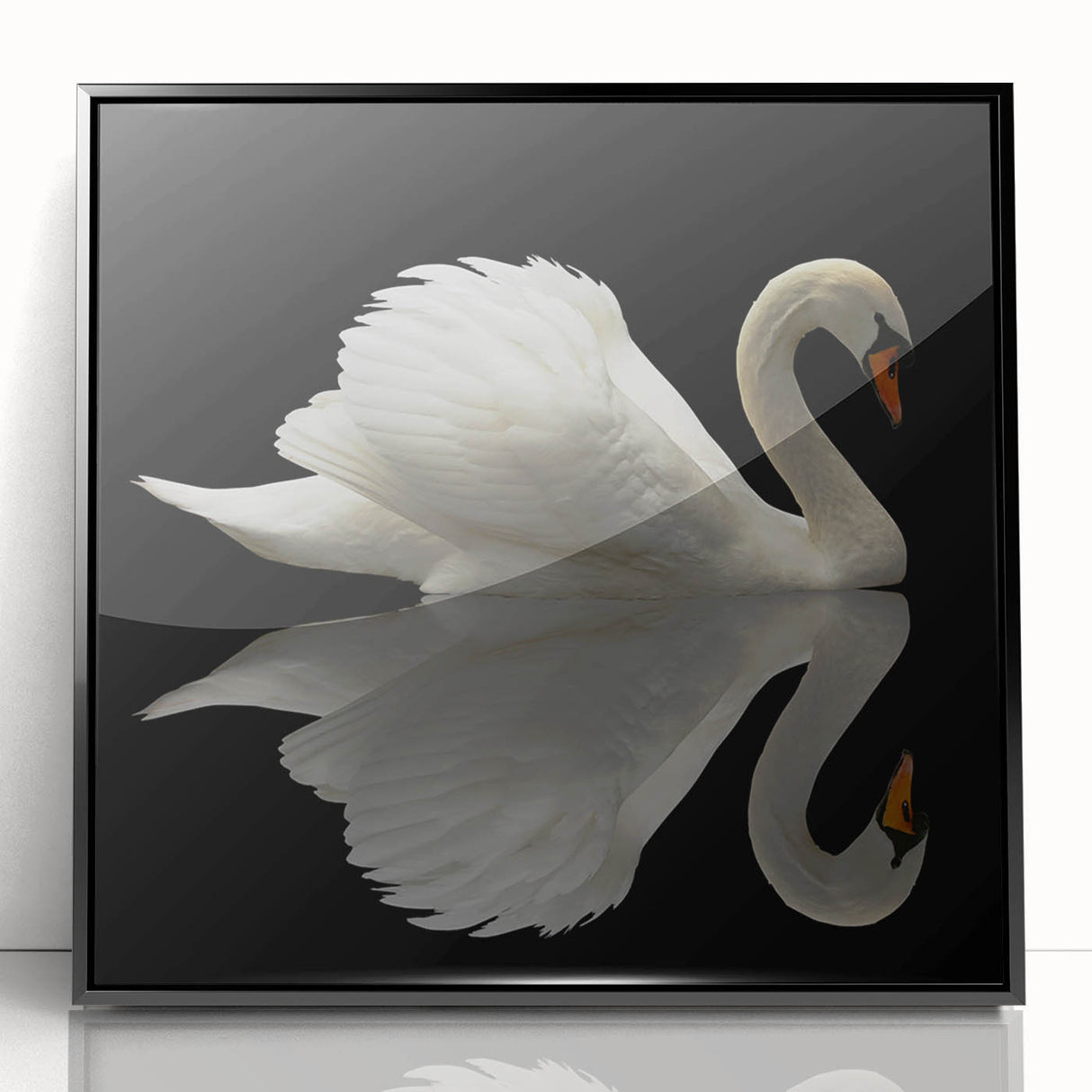 Framed wall art collection featuring a black acrylic swan design, showcasing elegant curves and intricate details, perfect for modern home decor.