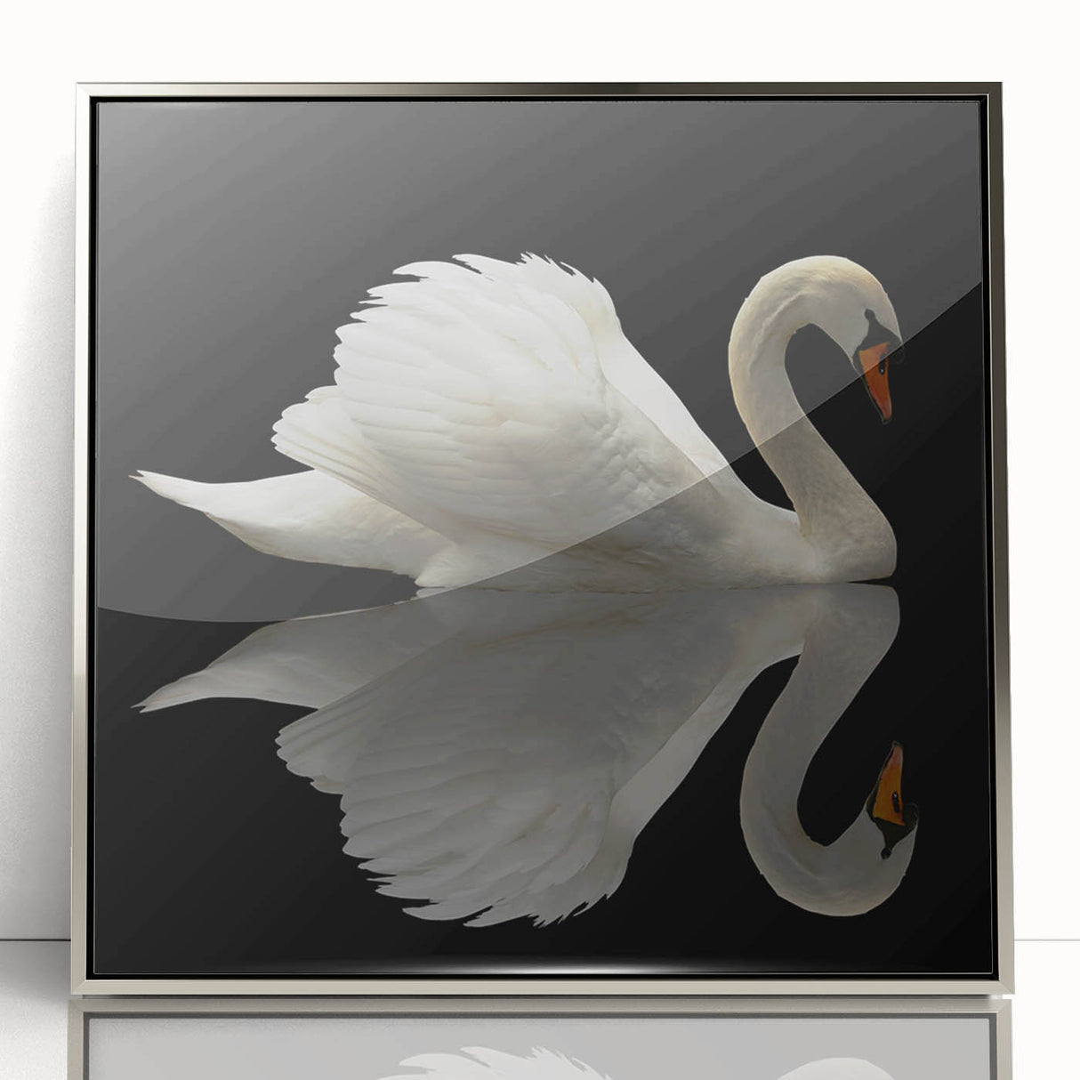 Framed wall art collection showcasing a serene silver-acrylic swan design, elegantly displayed for home decor, emphasizing tranquility and sophistication.