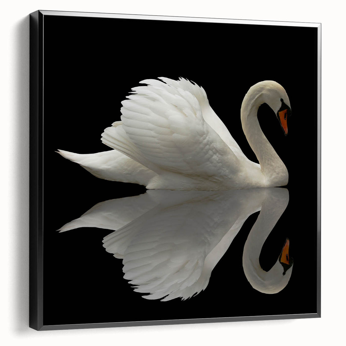 Framed canvas wall art showcasing an elegant swan design in black and white, ideal for modern decor. The piece adds a sophisticated touch to any living space or office.