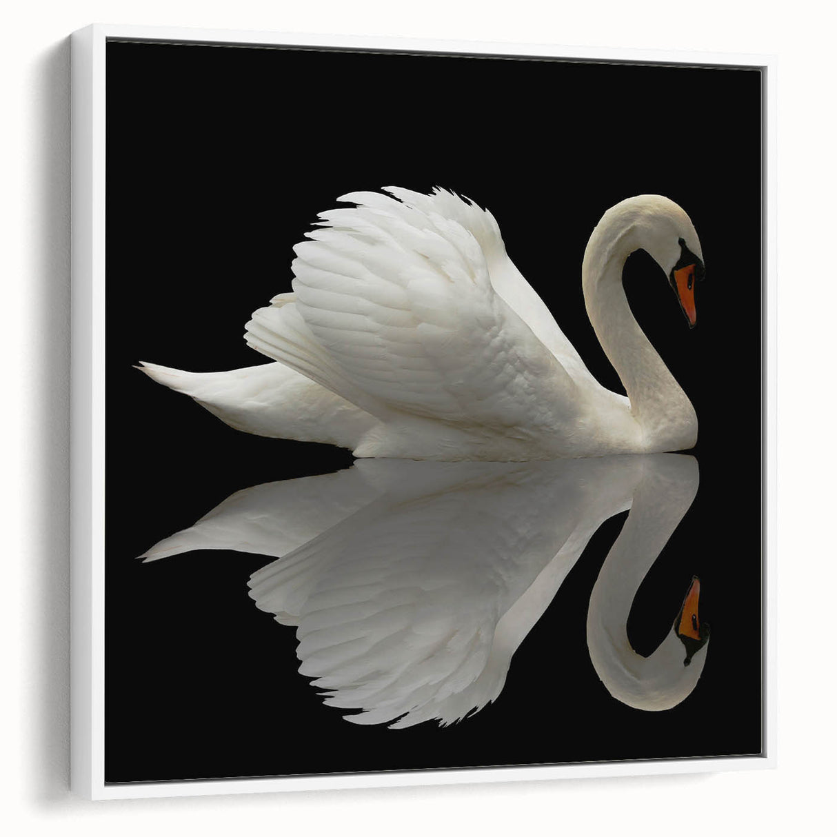 Framed wall art showcasing a serene swan design on a white canvas, emphasizing elegant details and a modern aesthetic, perfect for home decor enhancement.