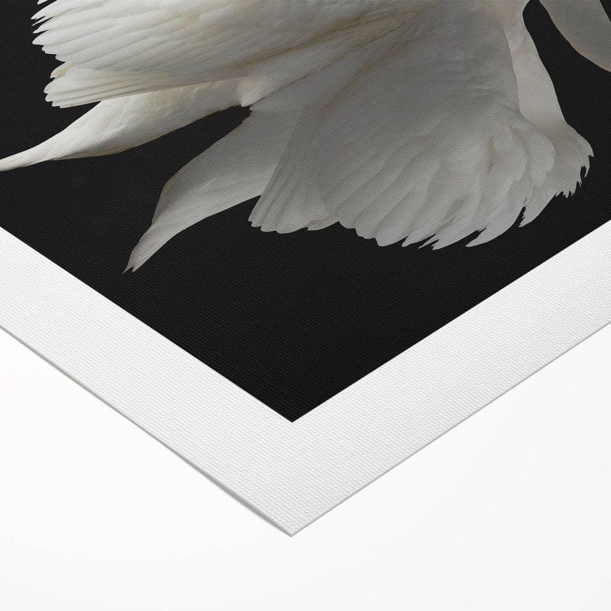 Elegant rolled canvas wall art showcasing a graceful swan design amidst soft pastel colors, perfect for home decor. Ideal for adding serenity to any living space.