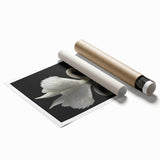 Elegant rolled print of swan-themed wall art collection featuring intricate bird designs in serene colors, ideal for enhancing home decor. Perfectly packaged in a protective cardboard tube for safe delivery.