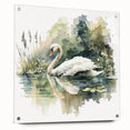 Elegant acrylic glass wall art featuring a serene swan design from the Birds Collection, displayed in side view with decorative pins, ideal for modern decor.