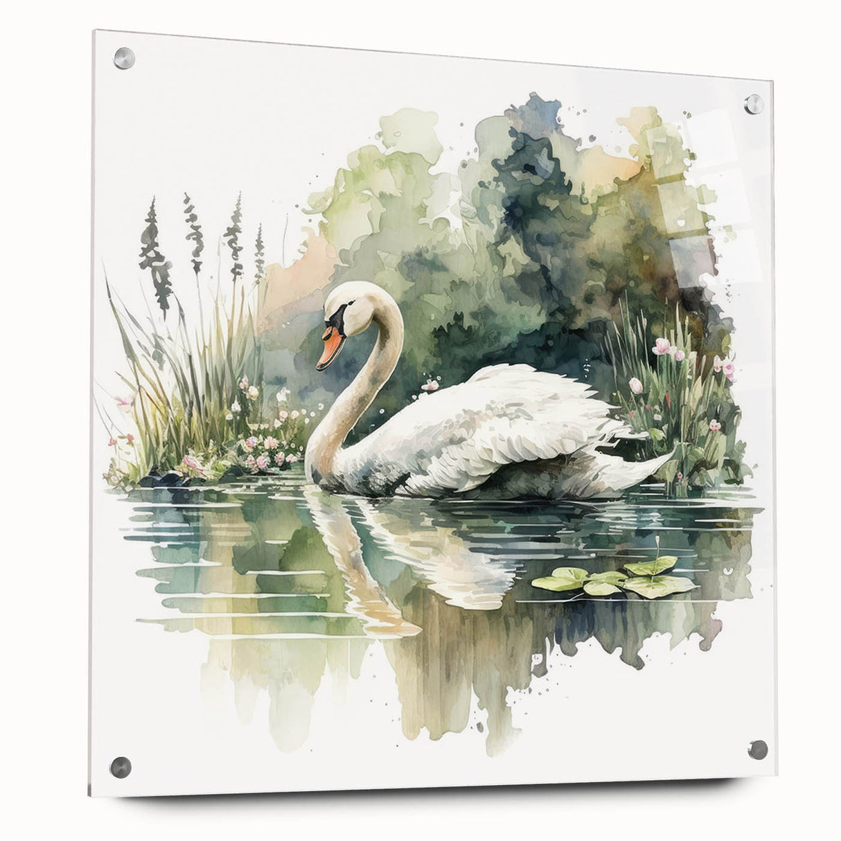 Elegant acrylic glass wall art featuring a serene swan design from the Birds Collection, displayed in side view with decorative pins, ideal for modern decor.