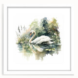 Elegant wall art featuring a serene swan design framed in white with a mat, perfect for enhancing modern home decor. Ideal for nature lovers and art enthusiasts.
