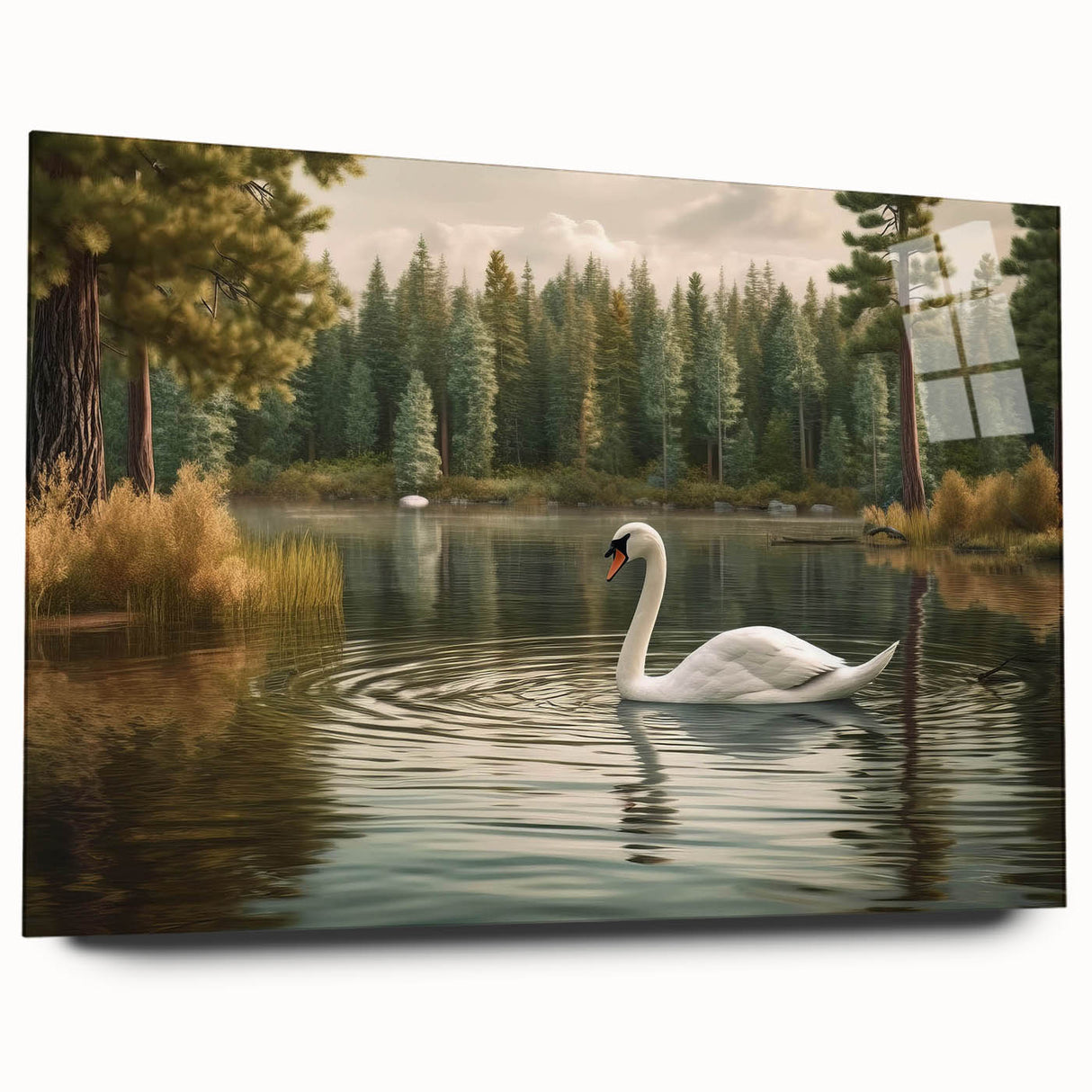 Elegant side view of a wall art piece showcasing a serene swan design printed on acrylic glass, ideal for home décor. The artwork features soft colors and intricate details, perfect for nature lovers seeking stylish interior accents.