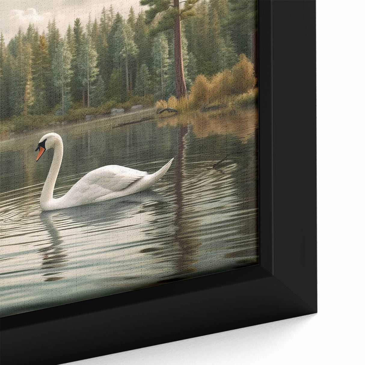 Framed canvas wall art featuring a close-up design of elegant swans with vibrant colors, perfect for enhancing home decor and adding a touch of nature's beauty.