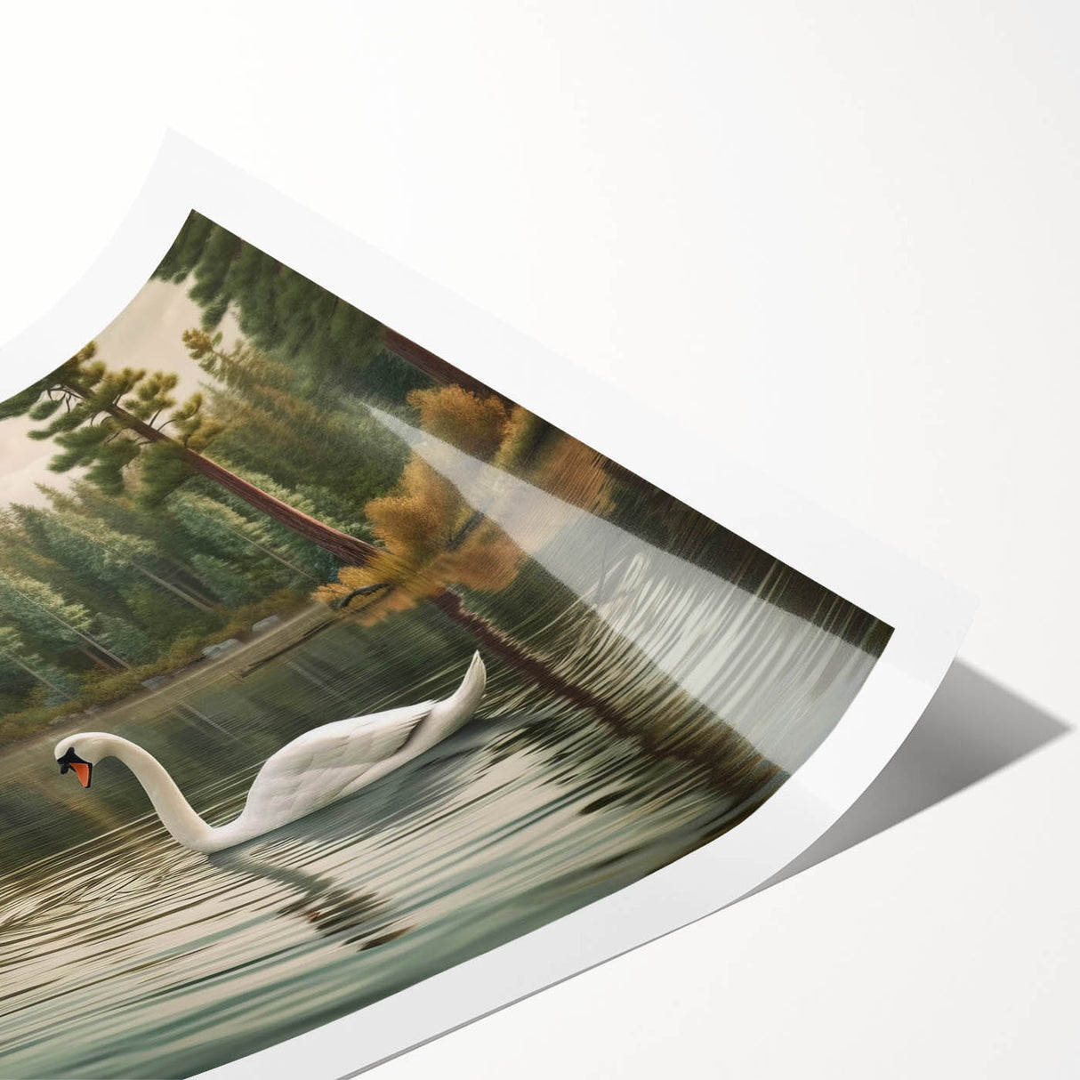 Elegant rolled print of swan wall art design, showcasing intricate details and soft colors, ideal for home decor, packaged securely in a protective tube.