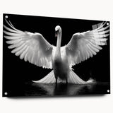 Acrylic wall art collection featuring a side view of a swan design, elegantly displayed with pins on a wooden surface, showcasing intricate details and vibrant colors. Ideal for modern home decor.