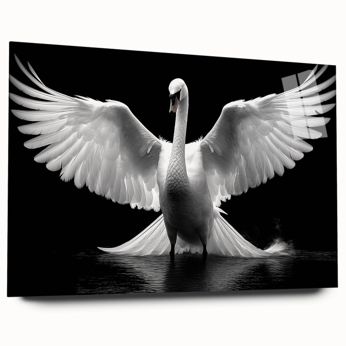 Swan-themed wall art design displayed in an acrylic glass frame, showcasing vibrant colors and intricate details, perfect for modern home décor.